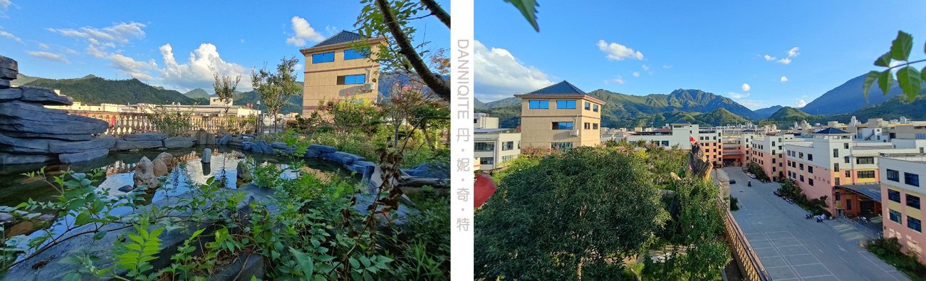 ��˲�Ʊ����